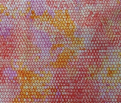 Atlantia Honeysuckle