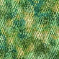 Atlantia Parakeet
