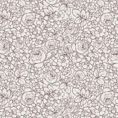 English Rose Cream Rose Garden