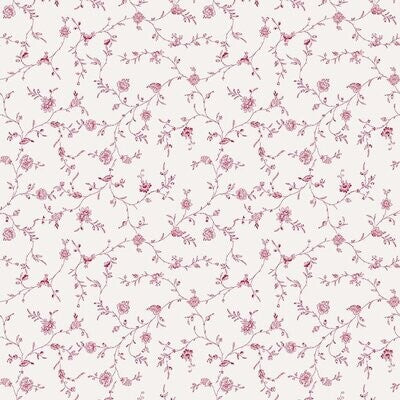 English Rose Cream Rose Vine